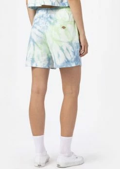 Dickies Dames Seatac Shorts Celadon Green -KILLSTAR Sales Store dickies DK0A4XNLC341 w seatac shorts celadon grn 1 1024x1024