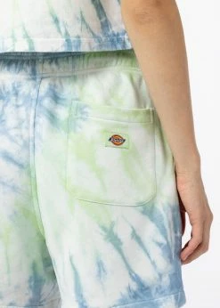Dickies Dames Seatac Shorts Celadon Green -KILLSTAR Sales Store dickies DK0A4XNLC341 w seatac shorts celadon grn 4 1024x1024