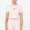 Dickies Women Maple Valley T-Shirt Light Pink 1 Dickies Women Maple Valley T-Shirt Light Pink -KILLSTAR Sales Store dickies DK0A4XPOLPI1 w maple valley tshirt light pnk 1 1ae2d84b 6e63 4733 bd05 8ef2c7f8c4b1 1024x1024