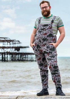 Run & Fly Adventure Dinosaur Twill 70's Dungarees Grey -KILLSTAR Sales Store run and fly JM1885 adventure dino twill dungarees grey 5 1024x1024